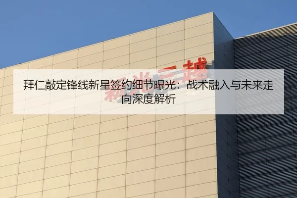 拜仁敲定锋线新星签约细节曝光：战术融入与未来走向深度解析